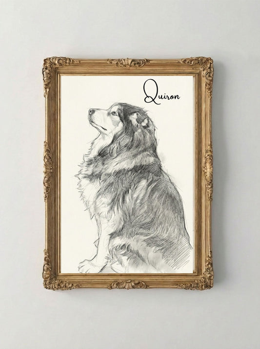 Retrato Enmarcado Mascota Personalizado| Arte Retrato|  Estilo Retrato Grafito